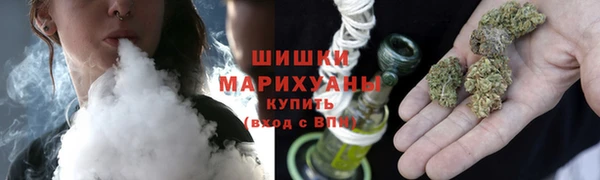тгк Инсар