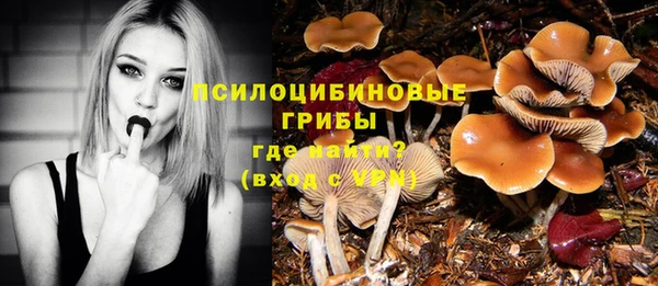 ешки Алзамай