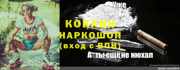 прущие грибы Алексин