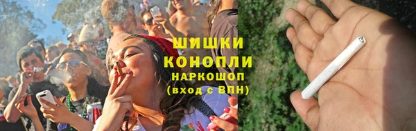 прущие грибы Алексин