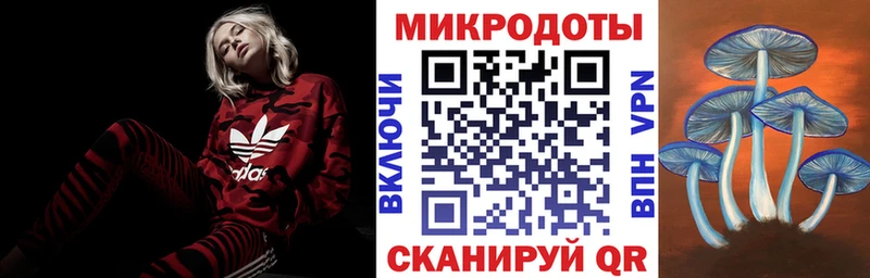 Псилоцибиновые грибы Psilocybine cubensis  как найти   Апшеронск 