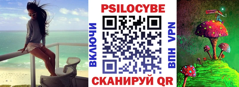 Галлюциногенные грибы Psilocybine cubensis Апшеронск