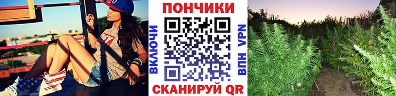 Марихуана VHQ  купить наркотики цена  Апшеронск 